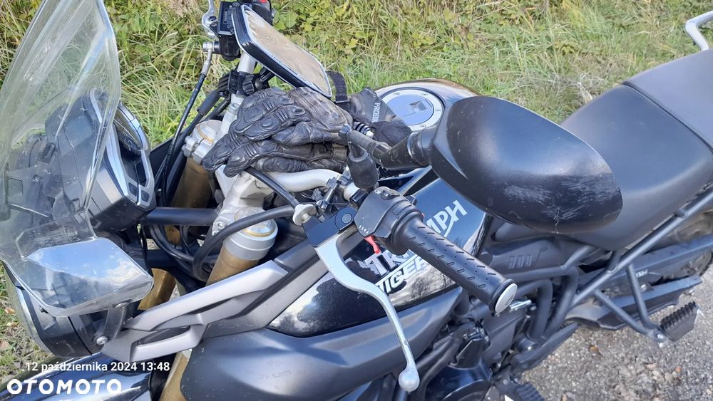 Triumph Tiger - 10