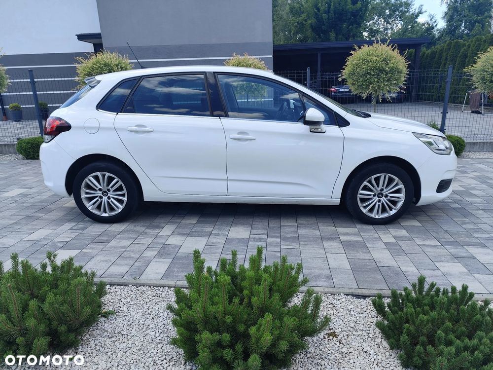 Citroën C4 BlueHDi 100 Business Class - 19
