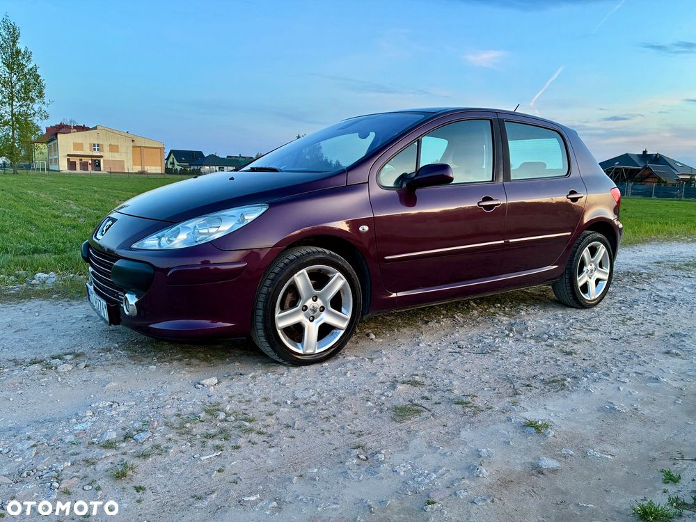 Peugeot 307 2.0 XT - 2