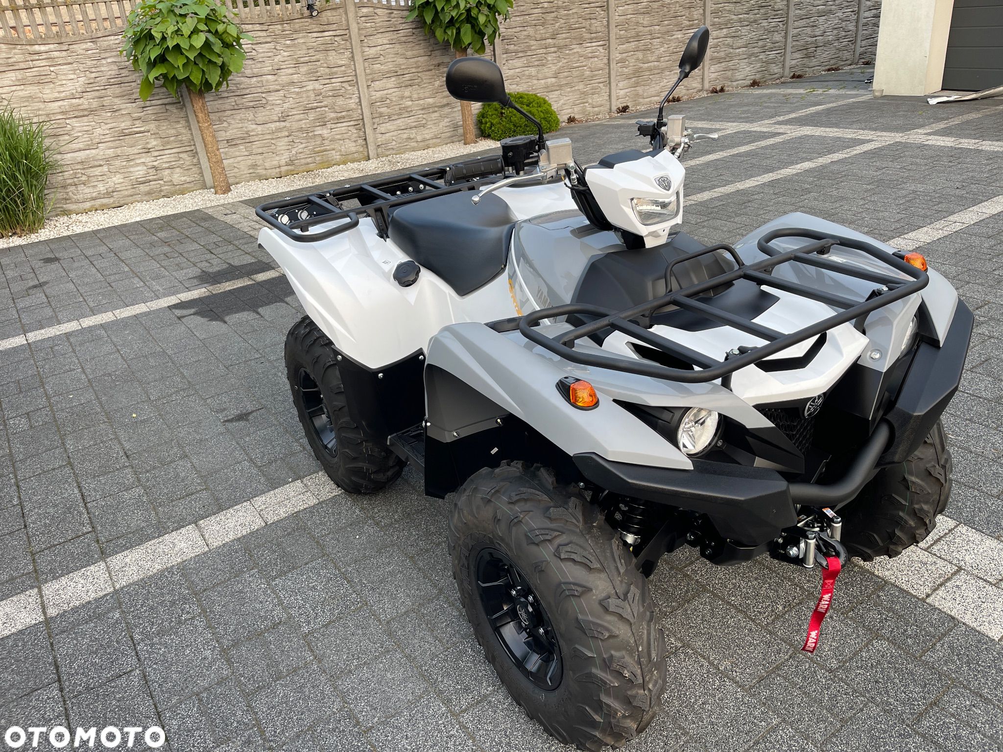 Yamaha Grizzly