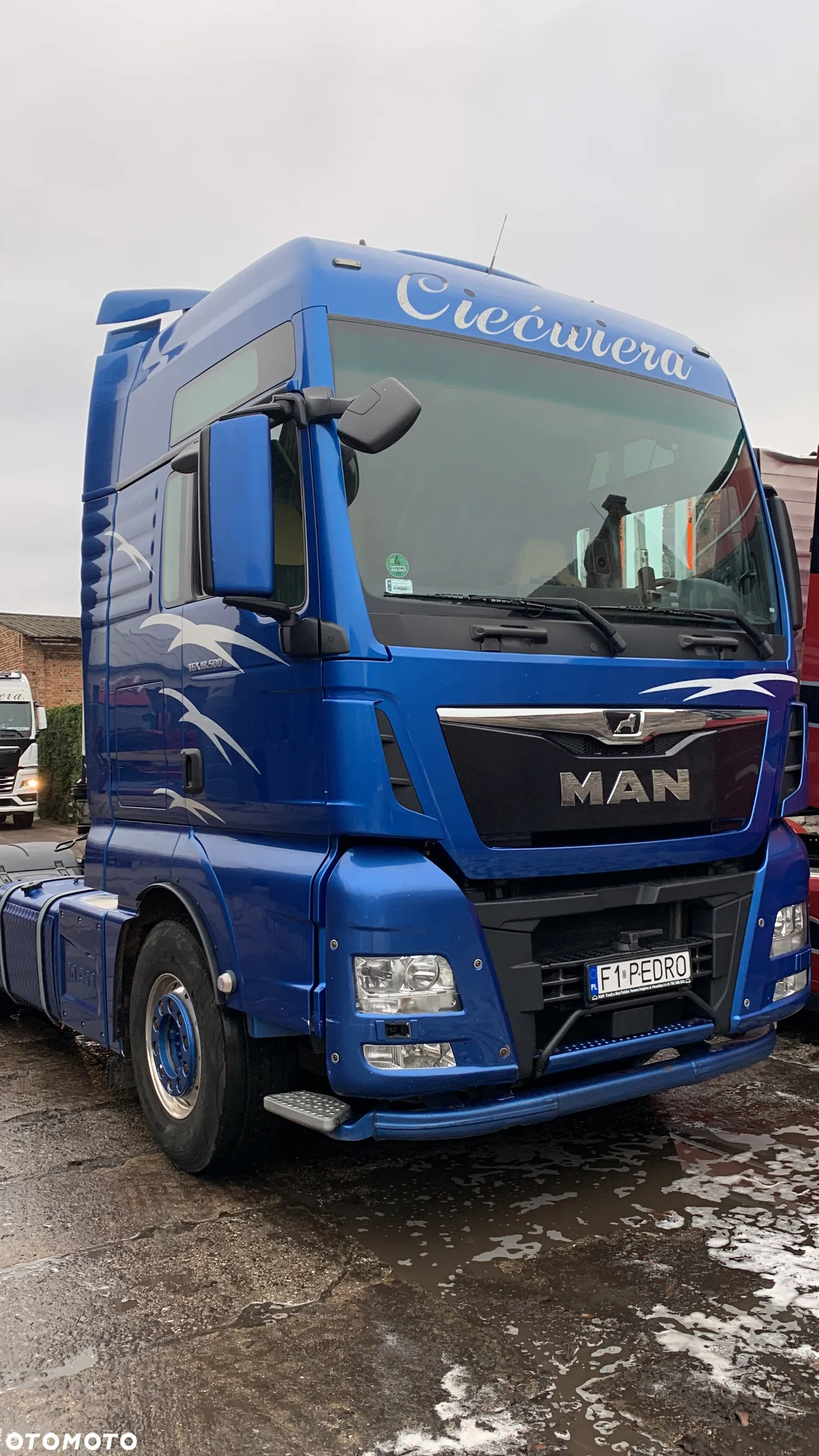 MAN TGX - 4