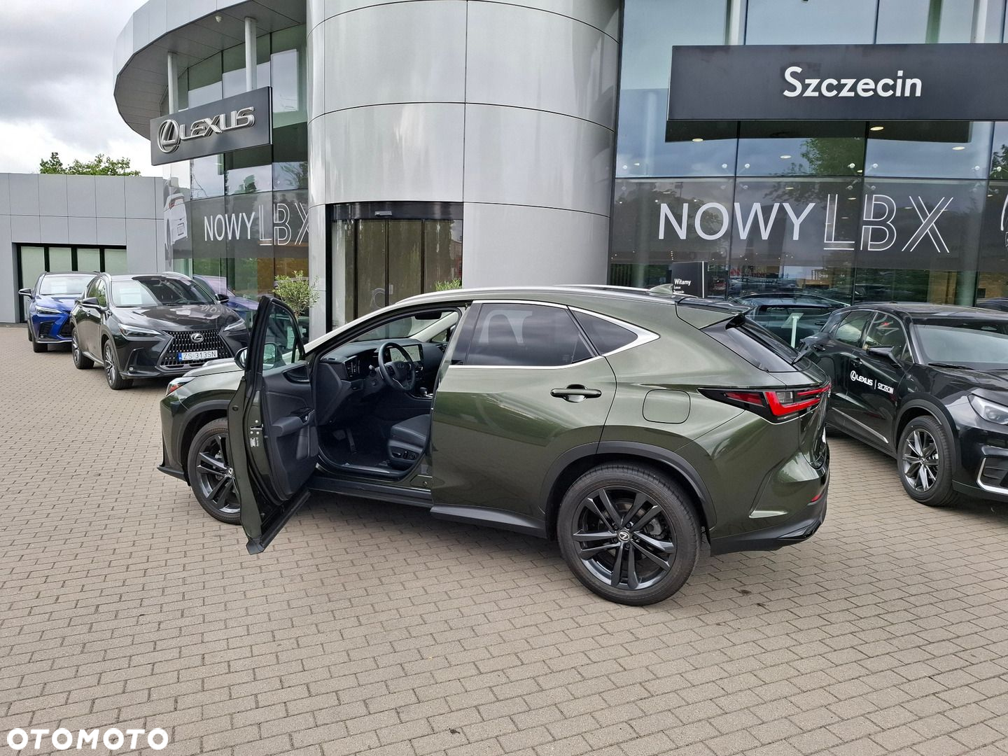 Lexus NX - 10