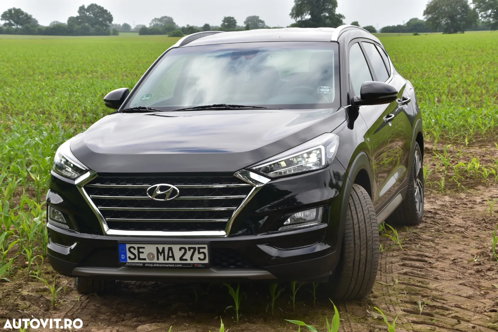 Hyundai Tucson blue 1.6 CRDi 2WD Style - 11