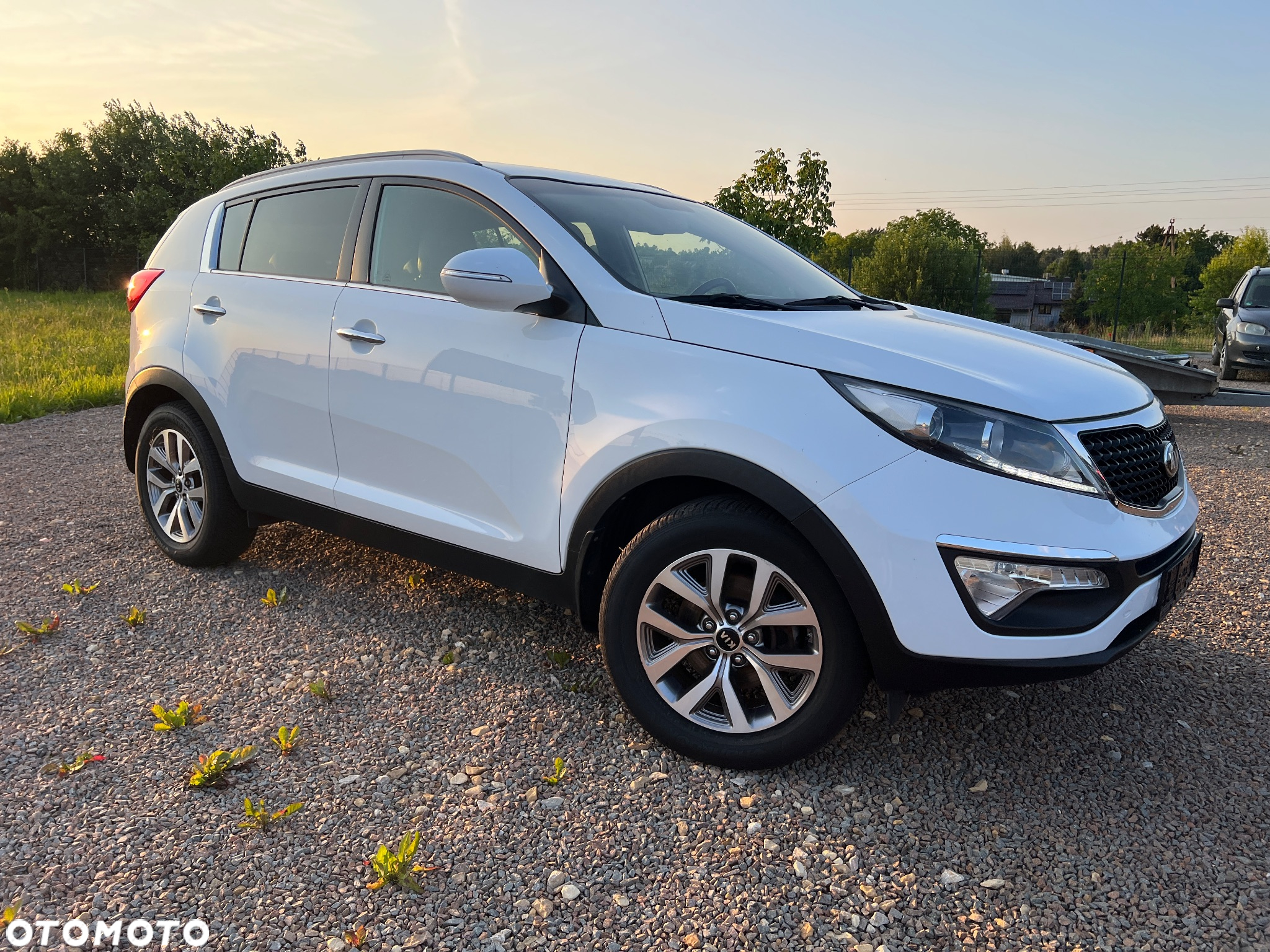 Kia Sportage 1.6 GDI Business Line 2WD - 5
