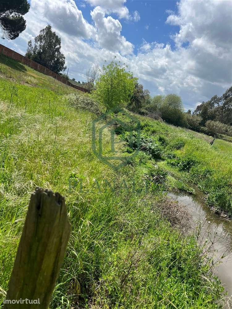 Terreno  Venda em Vendas Novas,Vendas Novas - Grande imagem: 3/9