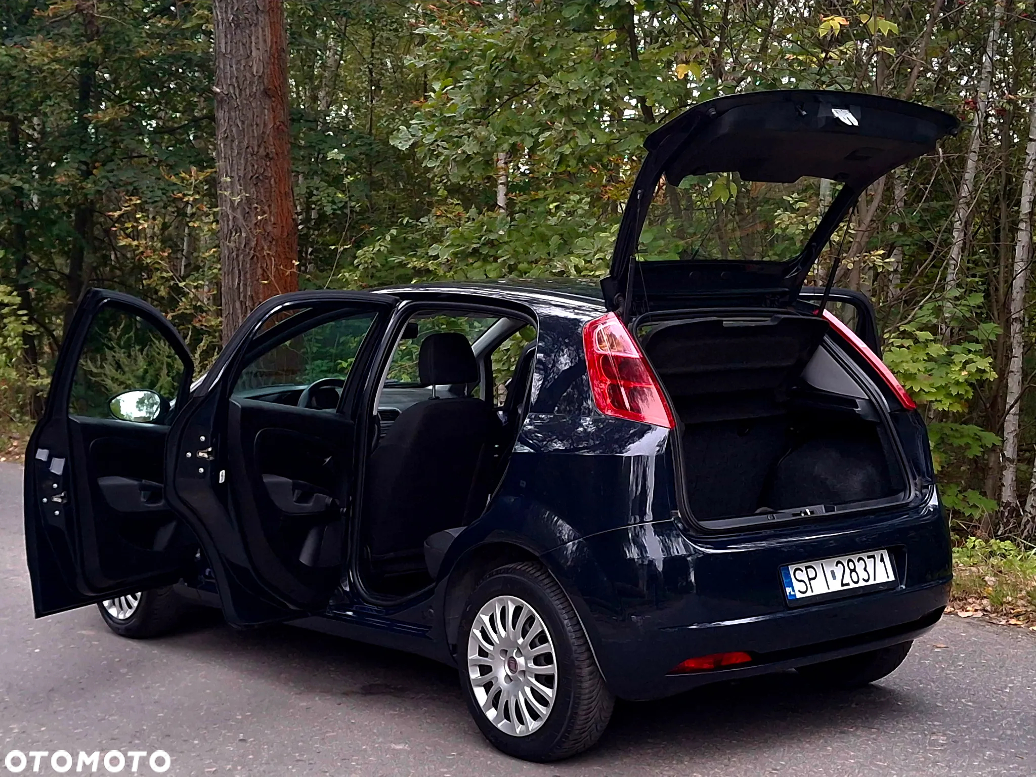 Fiat Grande Punto Actual 1.2 8V Estiva - 16
