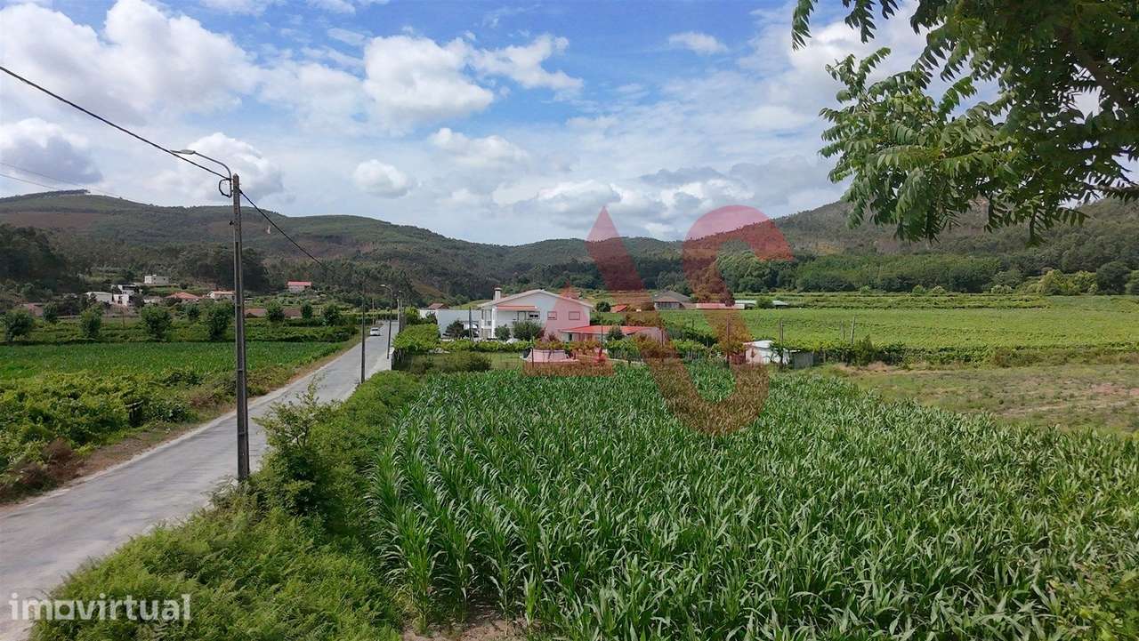 Terreno Agrícola com 2460m2 em Silvares, Lousada - Grande imagem: 4/4