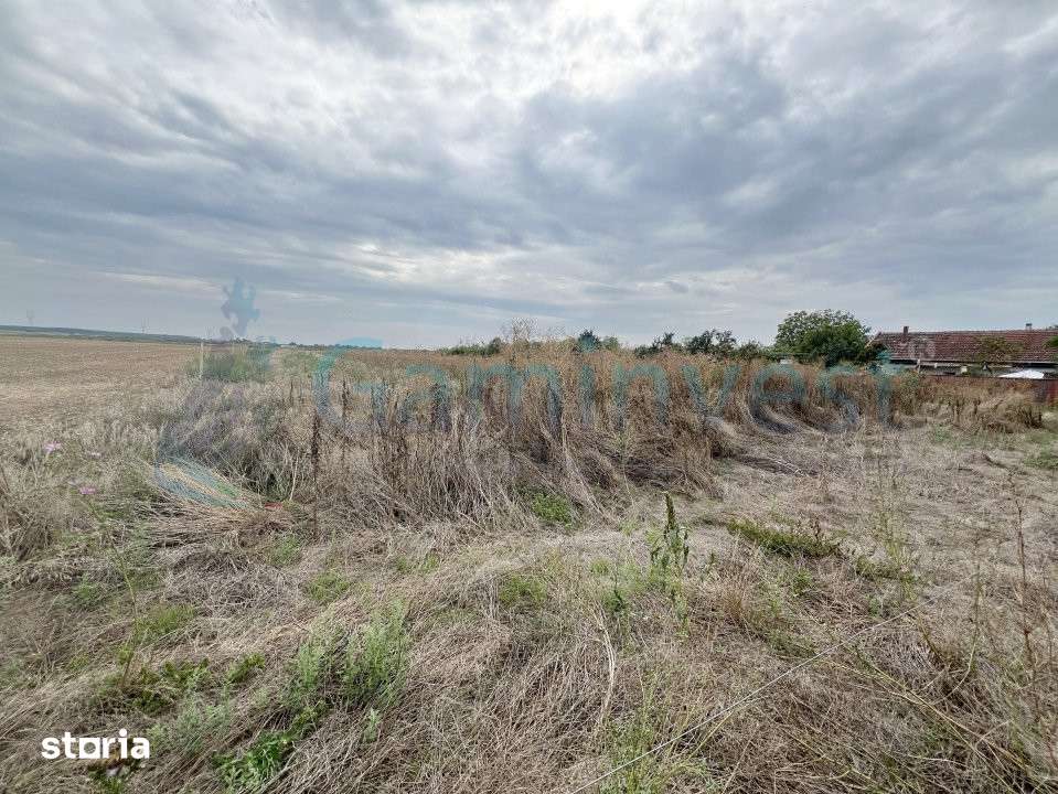 Teren intravilan de vanzare, Bihor, V4116, Gaminvest - Imagine principală: 3/11
