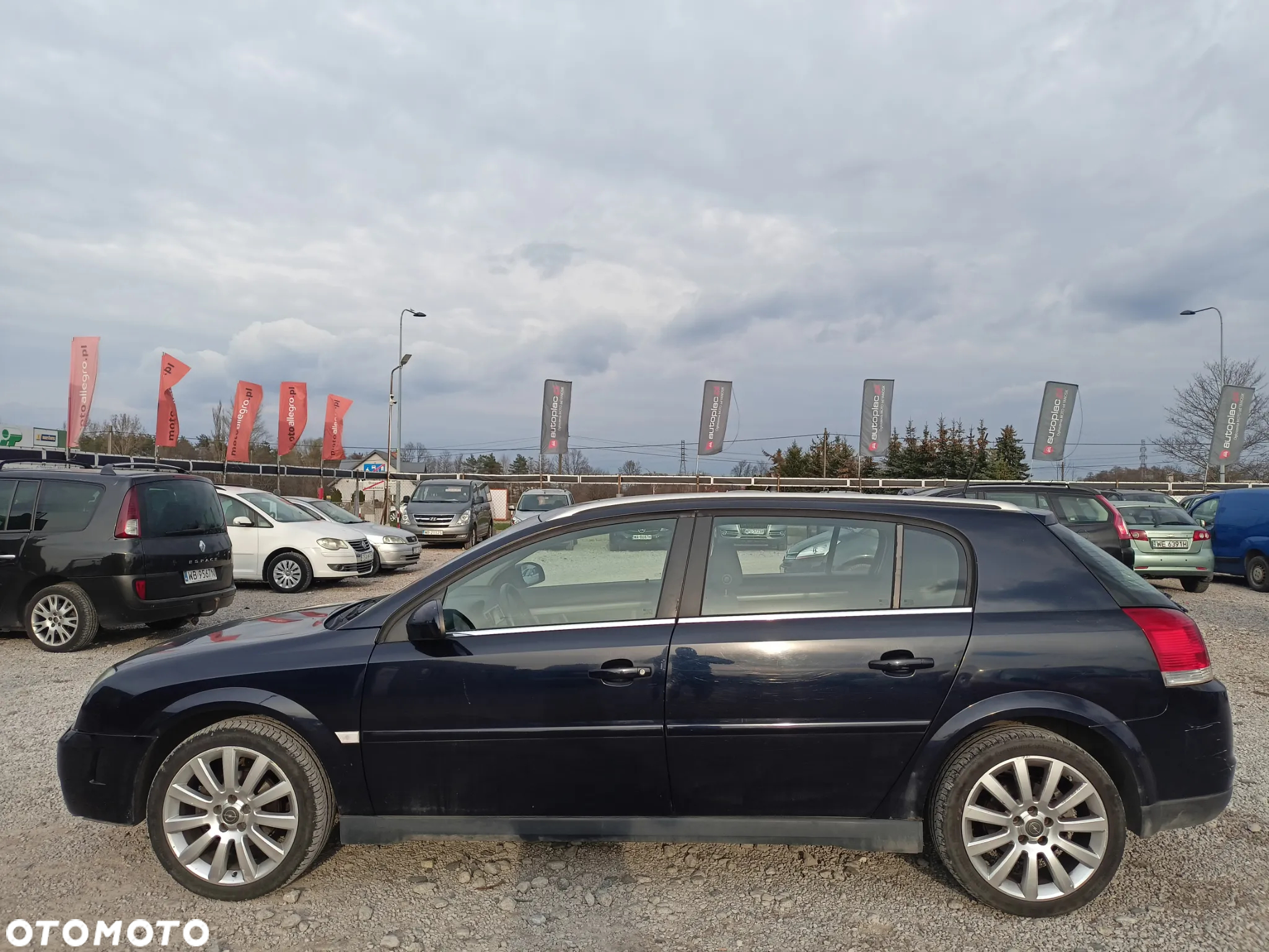 Opel Signum - 2