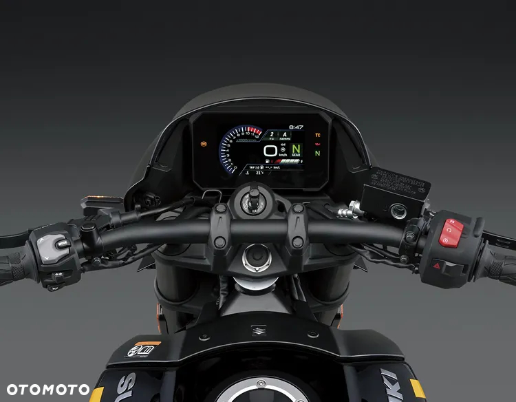 Suzuki GSX - 13