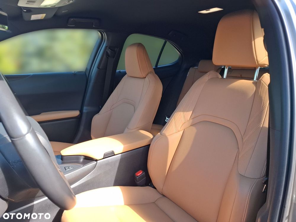 Lexus UX 200 GPF F Sport Design+ 2WD - 10