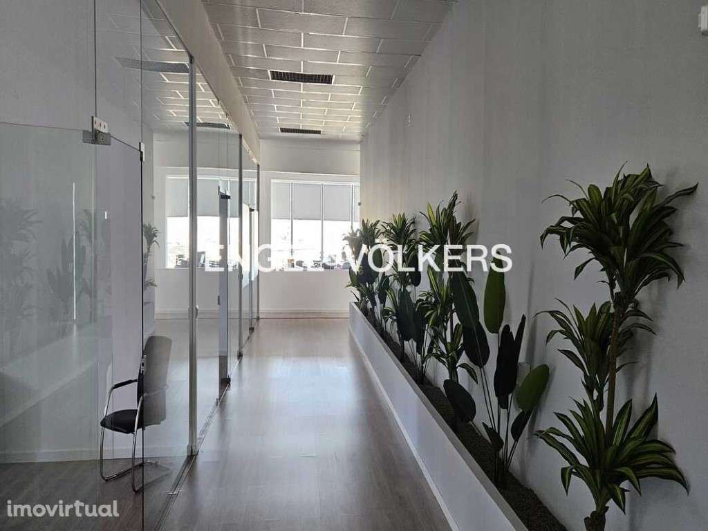 Escritório com 692m2 na Amadora - Grande imagem: 3/18
