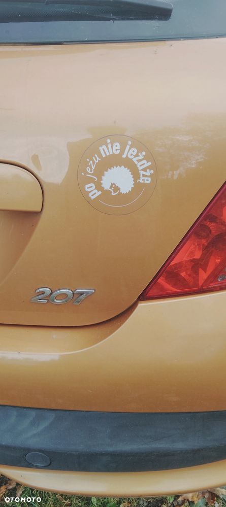 Peugeot 207 - 4