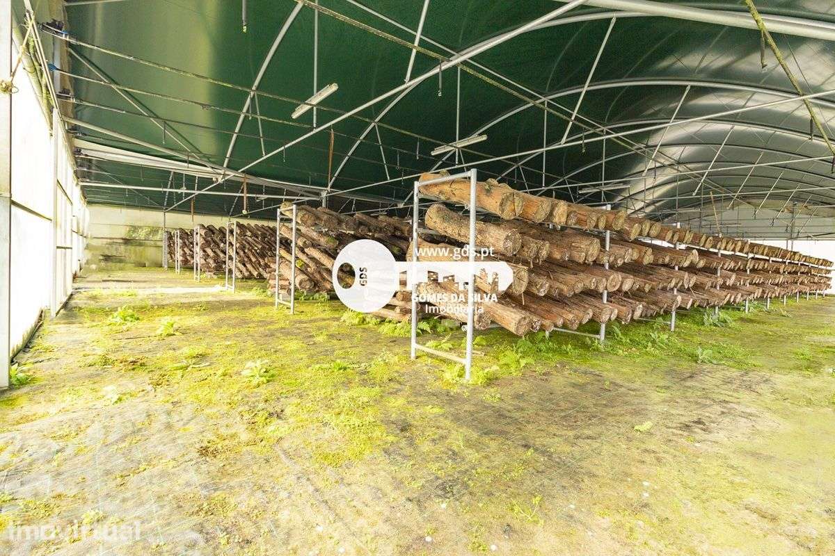 Terreno de 4110m2 c/ duas estufas de 1200m2 em Fafe - Grande imagem: 3/12