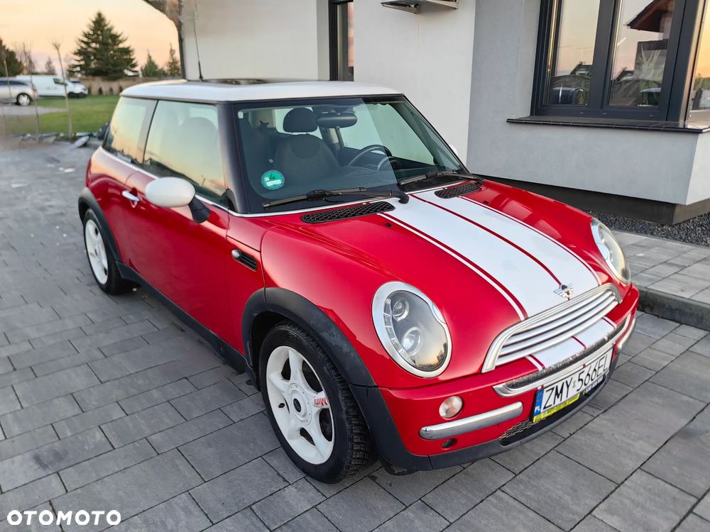 MINI Cooper chili - 1