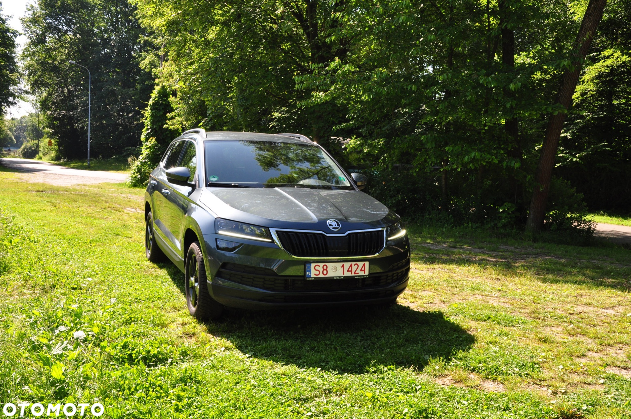 Skoda Karoq 2.0 TDI 4x4 DSG Drive - 30