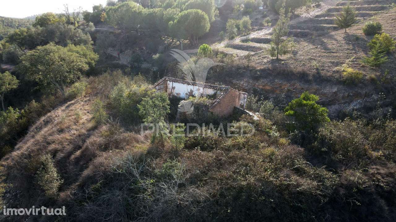 Quinta com 1,0250 ha e uma ruína em Luzianes Gare - Grande imagem: 5/19