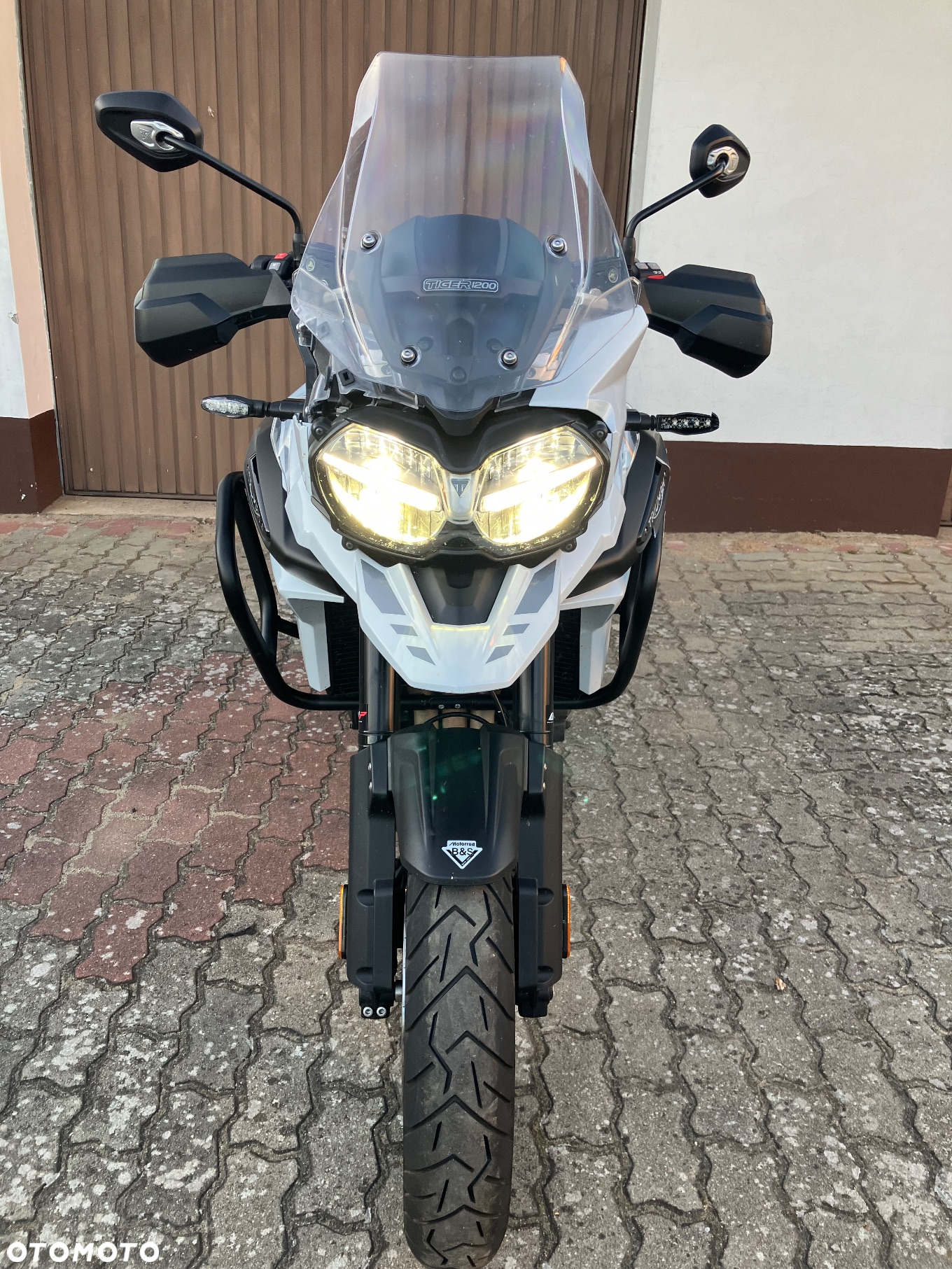 Triumph Tiger - 2
