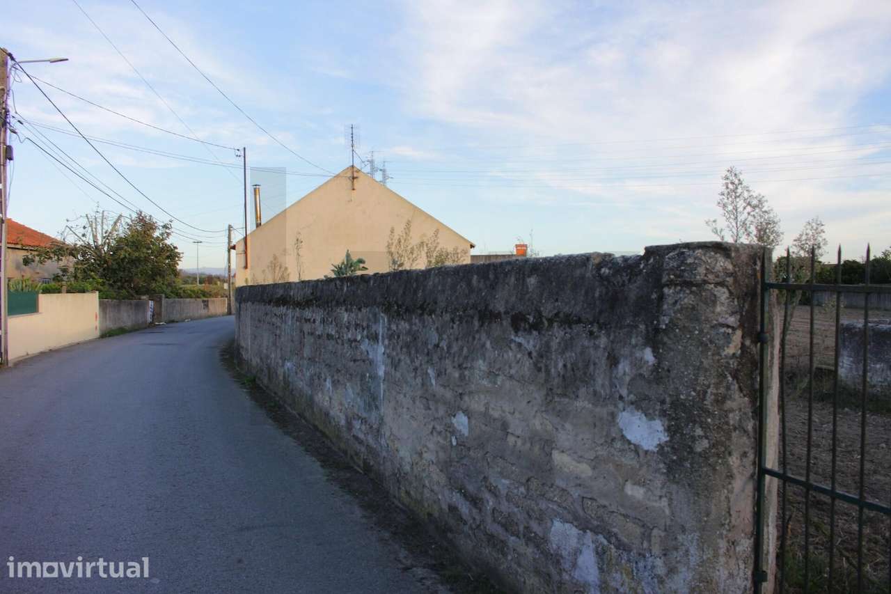 Terrenos com área total de 1900 m2 - Grande imagem: 5/5