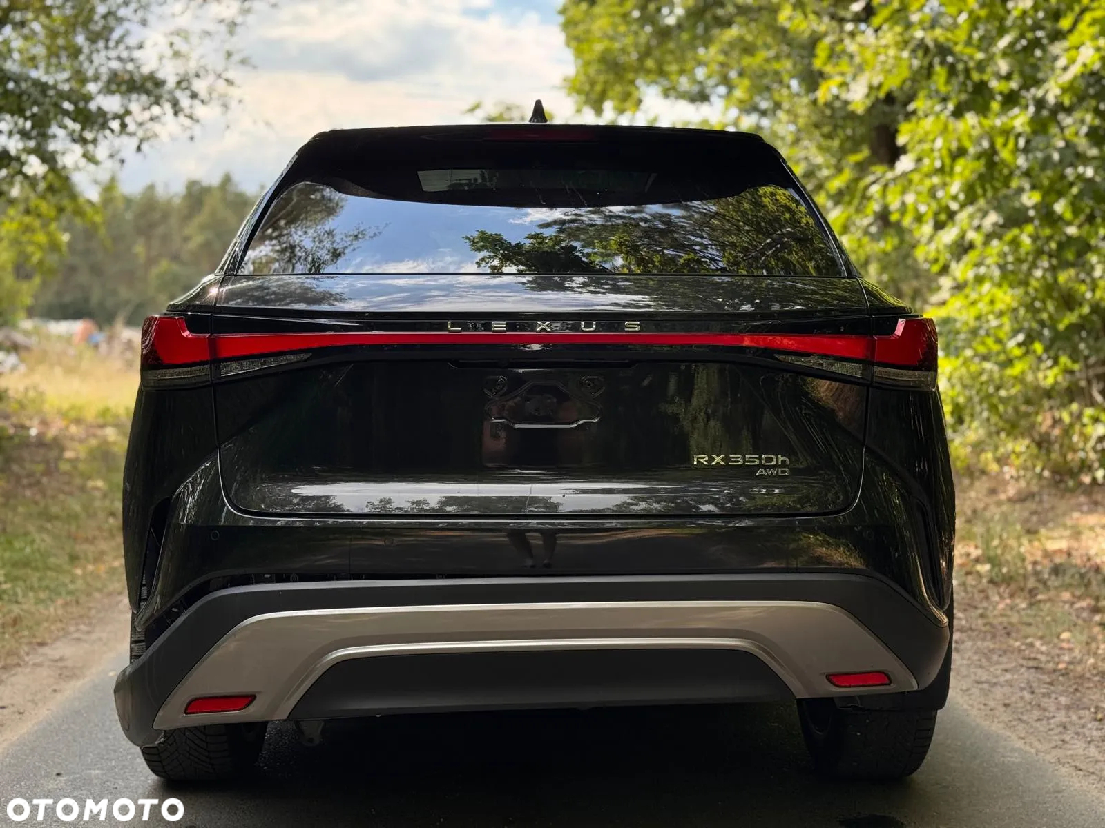 Lexus RX 350h (hybrid) Business - 10