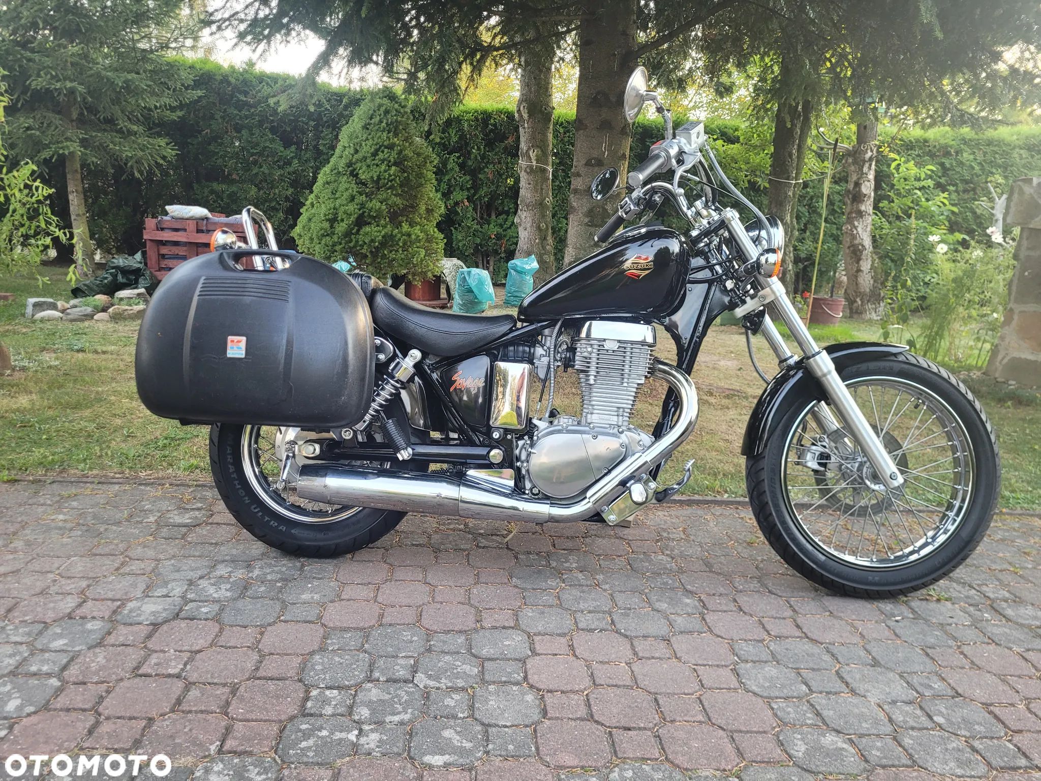 Suzuki Savage - 1