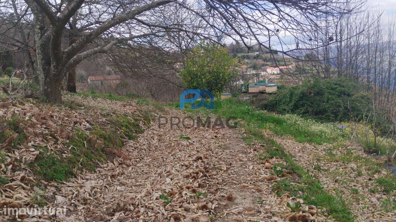 Terreno Urbanizável de 7959 m² com Armazém - Grande imagem: 3/56