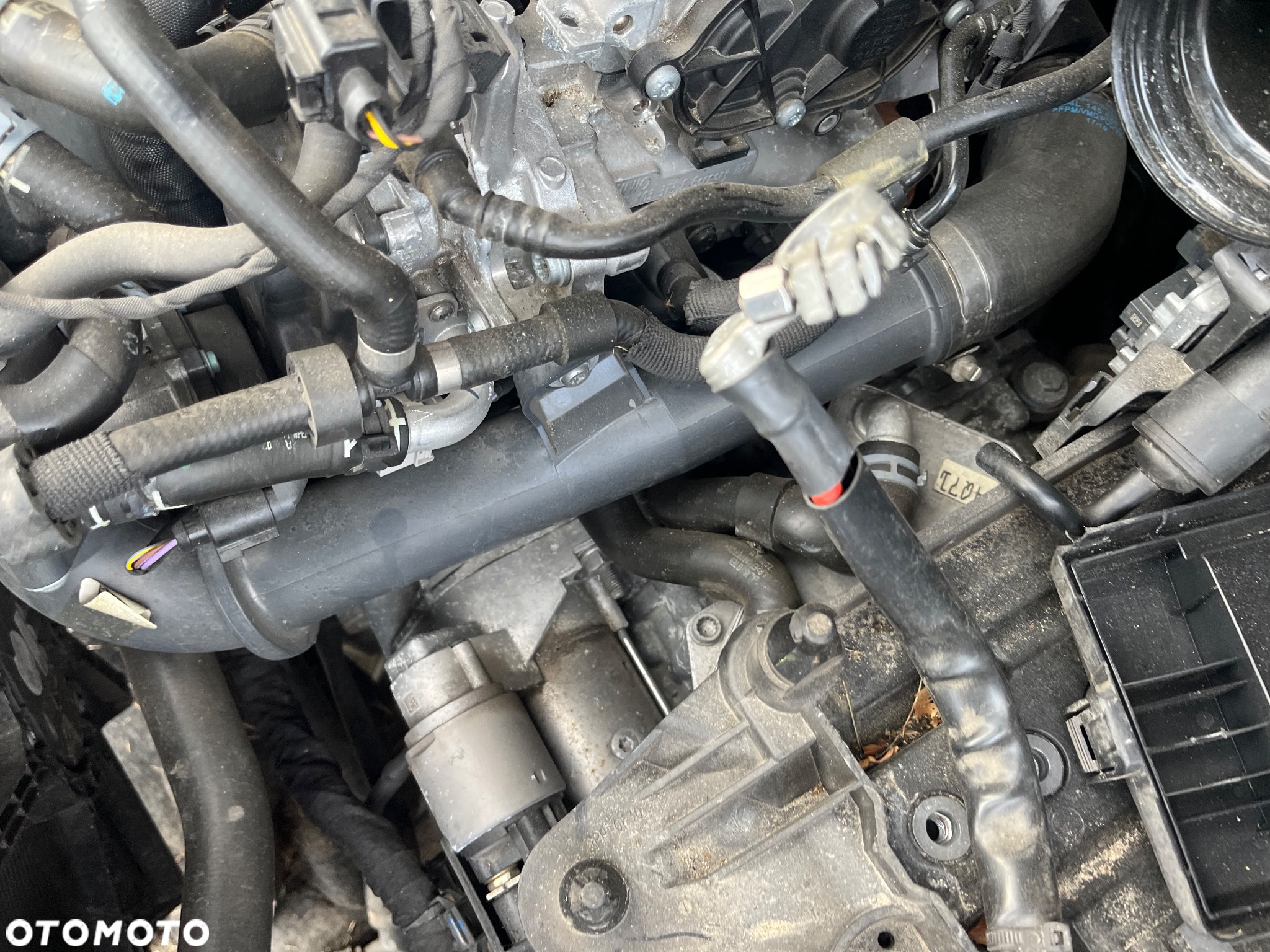 Silnik VW 2.0 TDI DFF 150 KM DSG 4x4 - 4