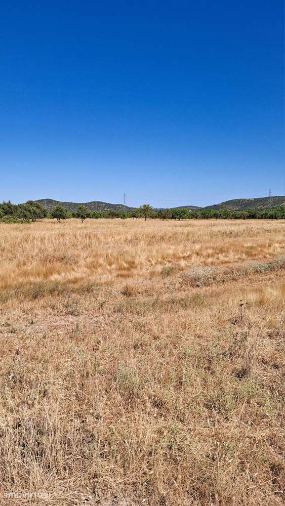 Terreno Rústico com Grande Potencial Agrícola – 7.800 m² em Paderne, A - Grande imagem: 3/10