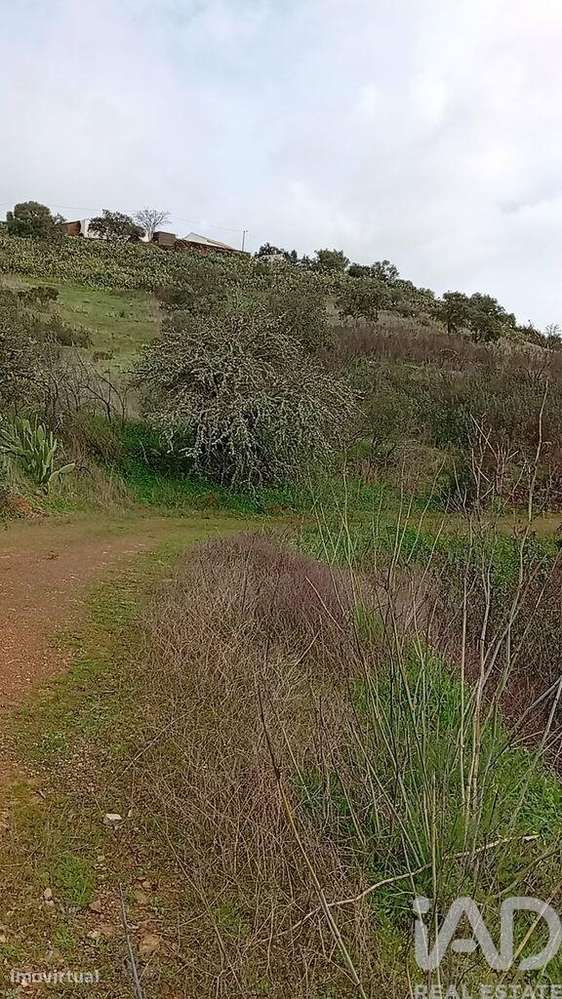 Terreno Agrícola em Ameixial - Grande imagem: 3/8