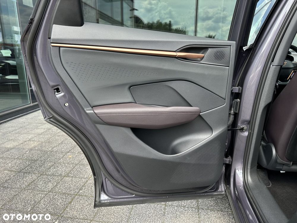 Cupra Terramar - 19