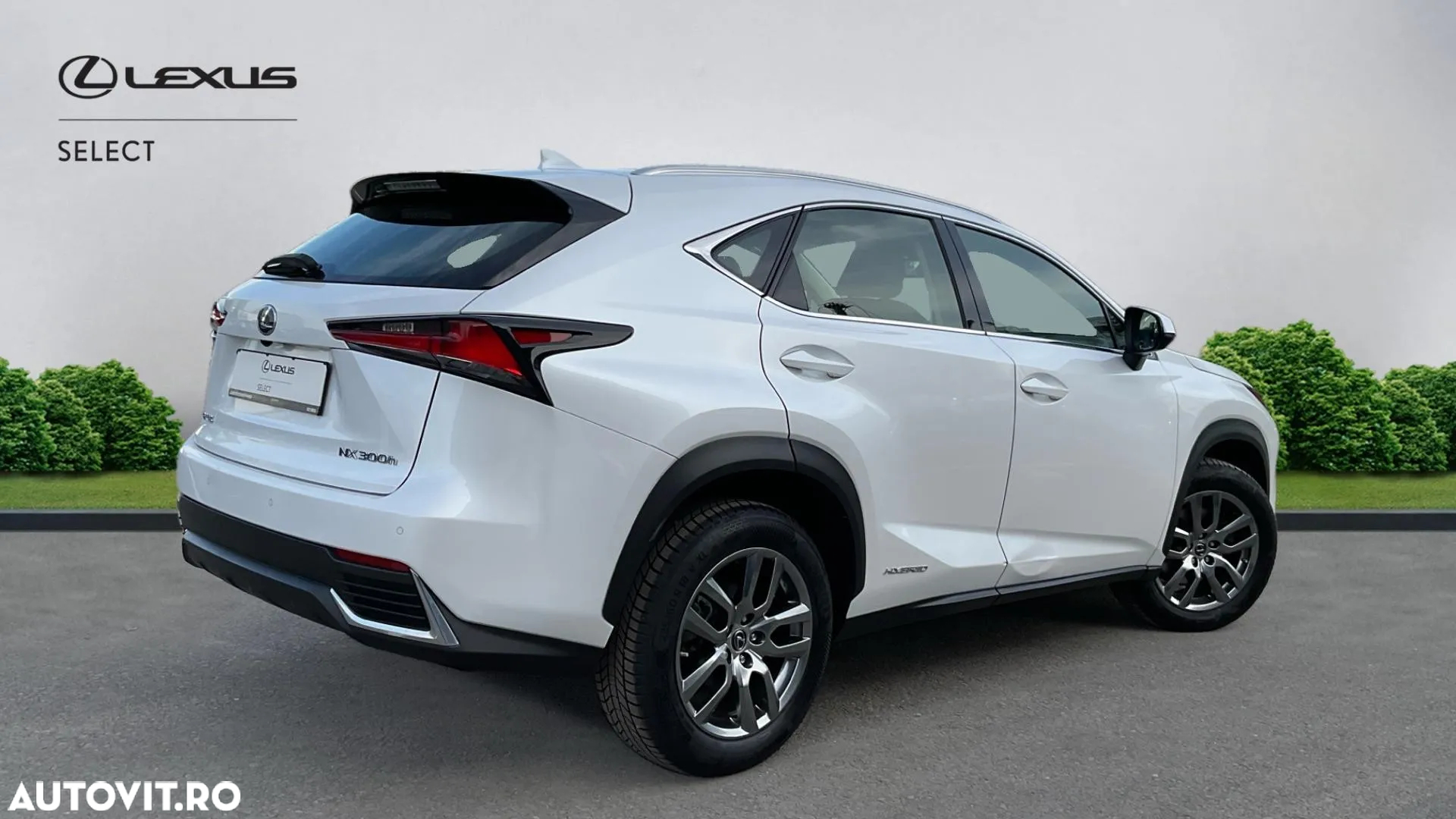 Lexus Seria NX 300h AWD Executive Plus - 19