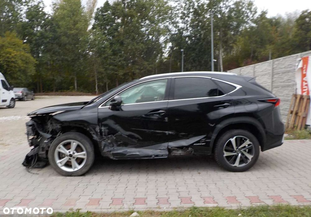 Lexus NX - 12