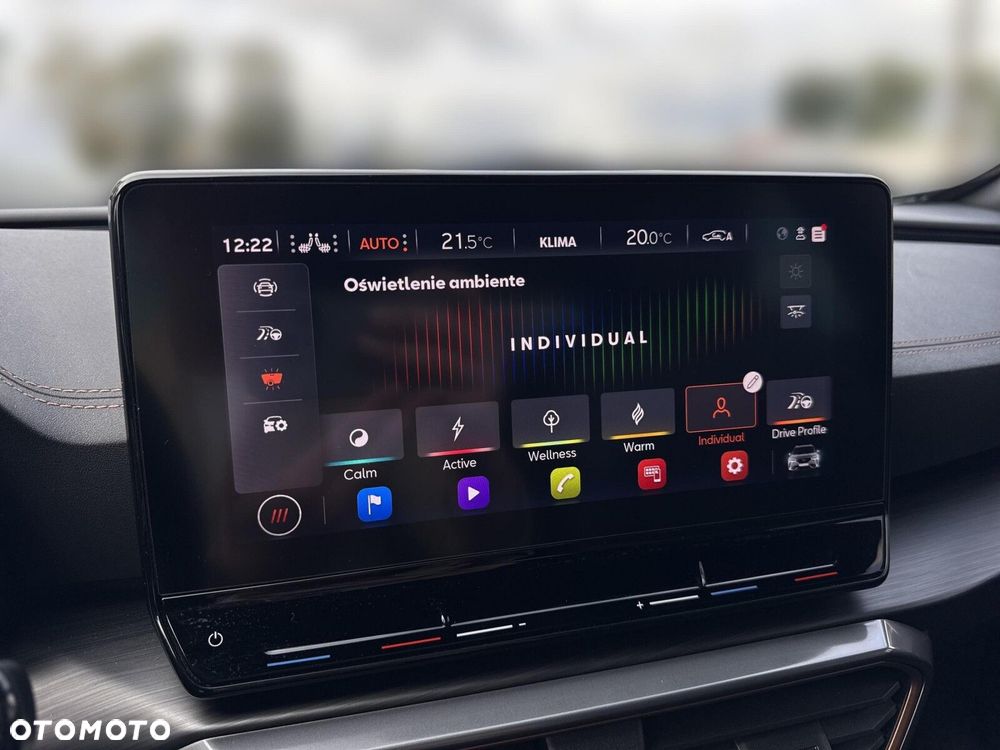 Cupra Formentor 2.0 TDI 4Drive DSG - 28