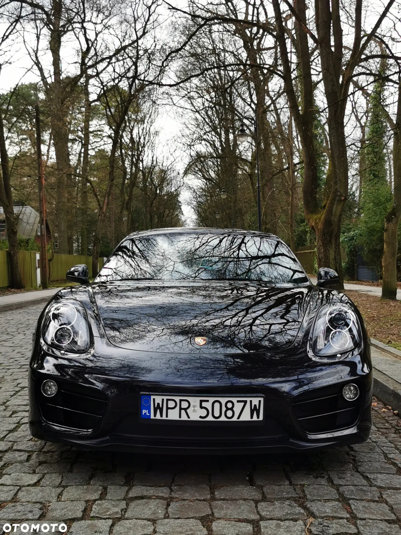 Porsche Cayman PDK - 15