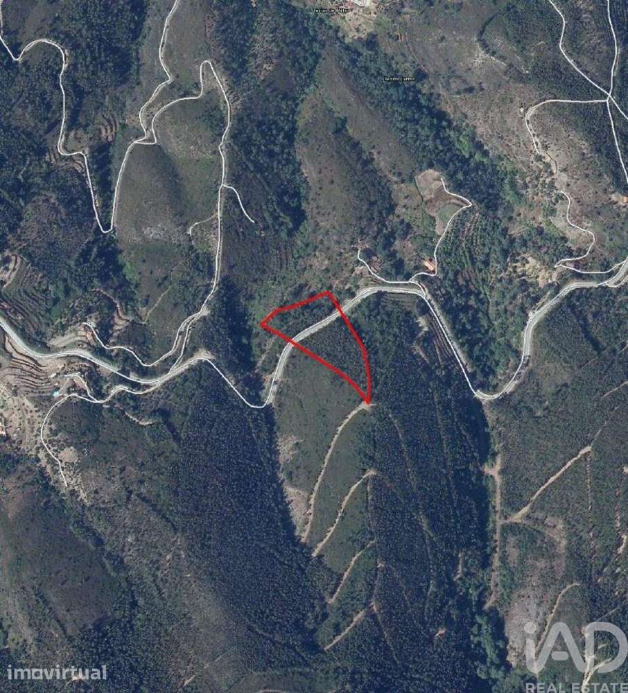 Terreno em Monchique de 928,00 m2 - Grande imagem: 2/3