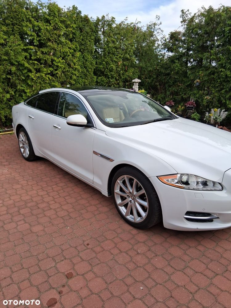 Jaguar XJ 3.0 V6 Kompressor Portfolio - 14
