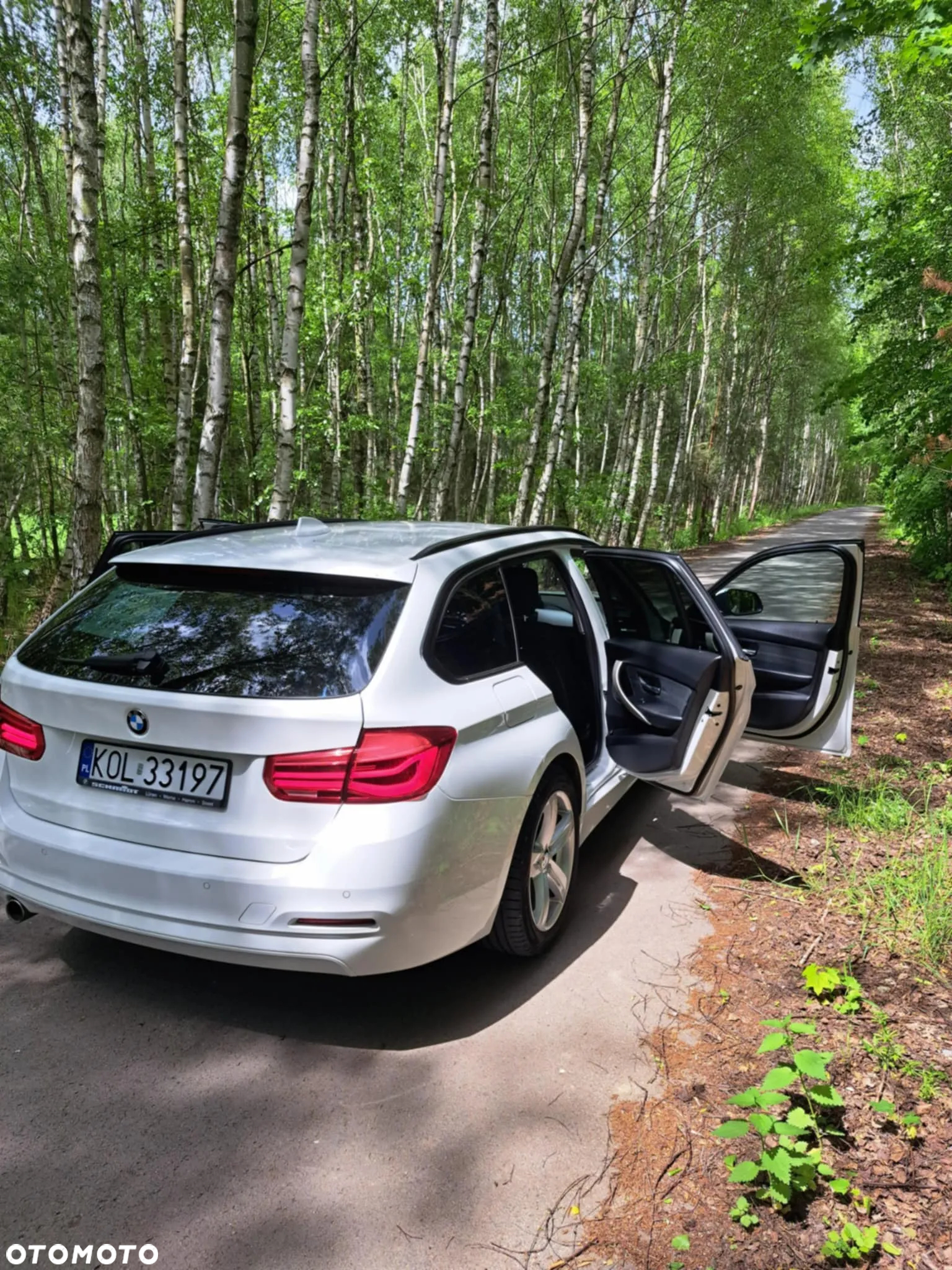 BMW Seria 3 318d Sport Line - 15
