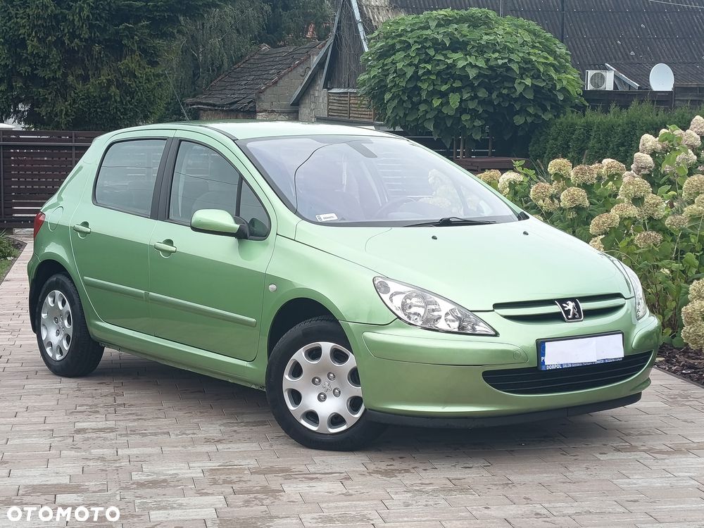 Peugeot 307 - 5