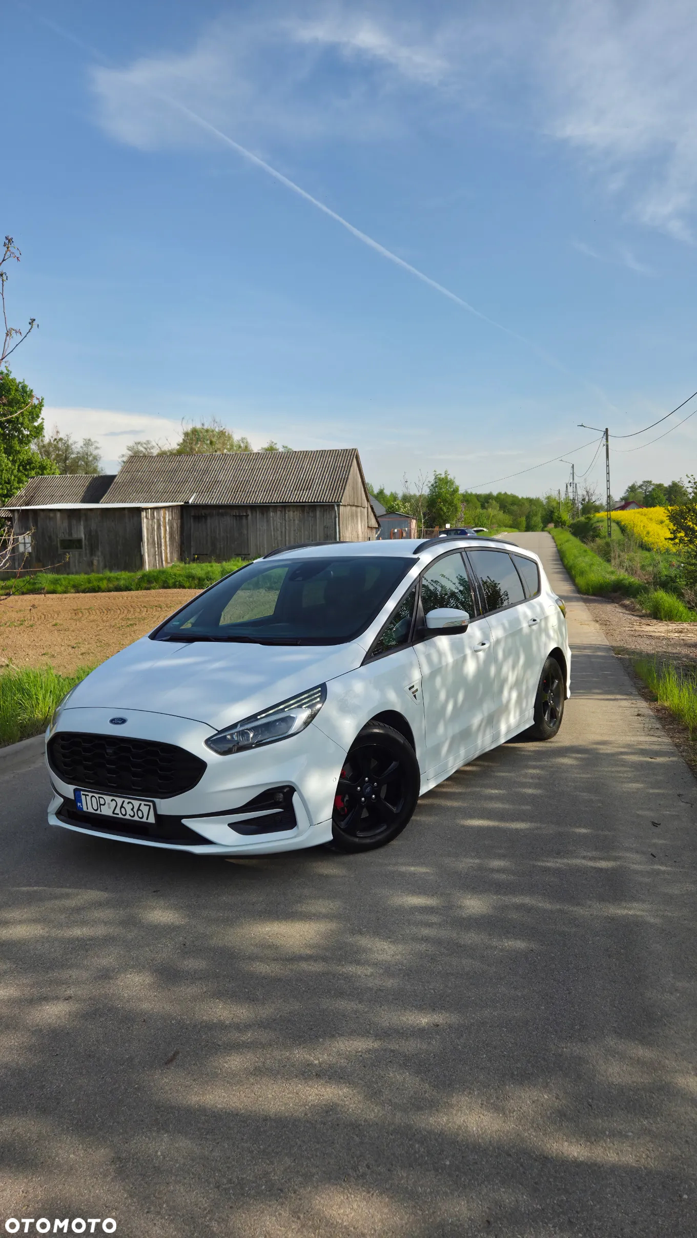 Ford S-Max 2.0 EcoBlue ST-Line - 2