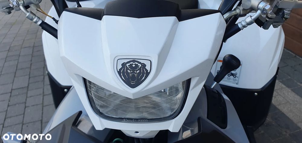 Yamaha Grizzly - 11