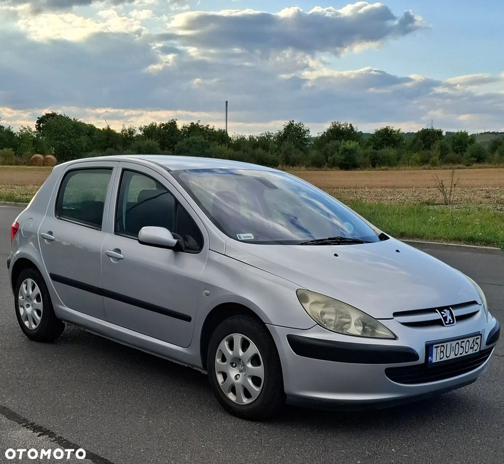 Peugeot 307 1.6 - 1