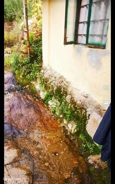 Pequena quinta 14650m2 tabuaço - Grande imagem: 4/7