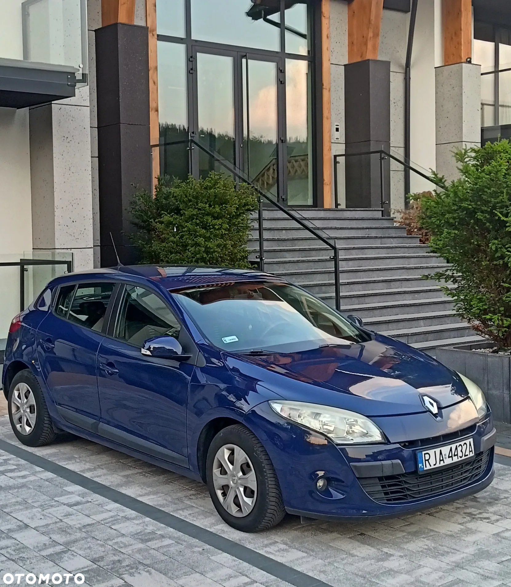 Renault Megane - 7