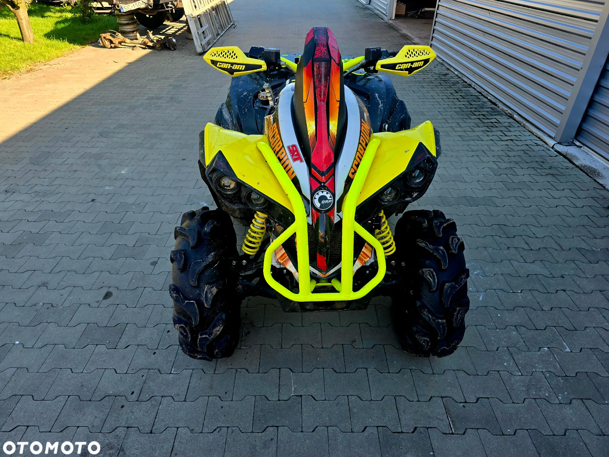 Can-Am Renegade