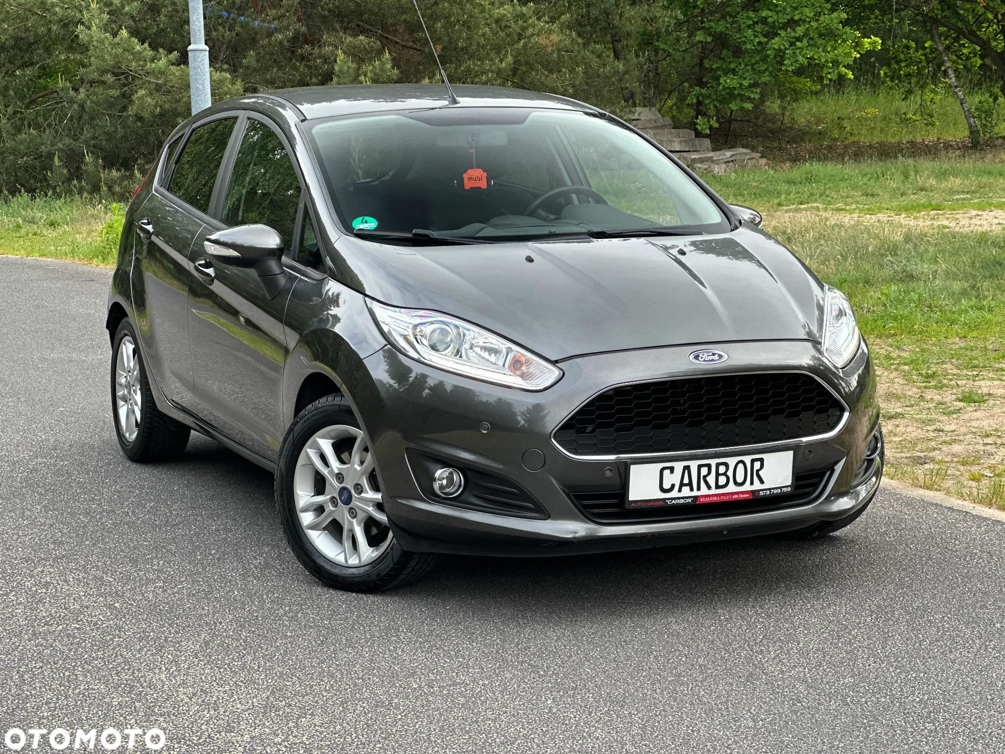 Ford Fiesta - 15