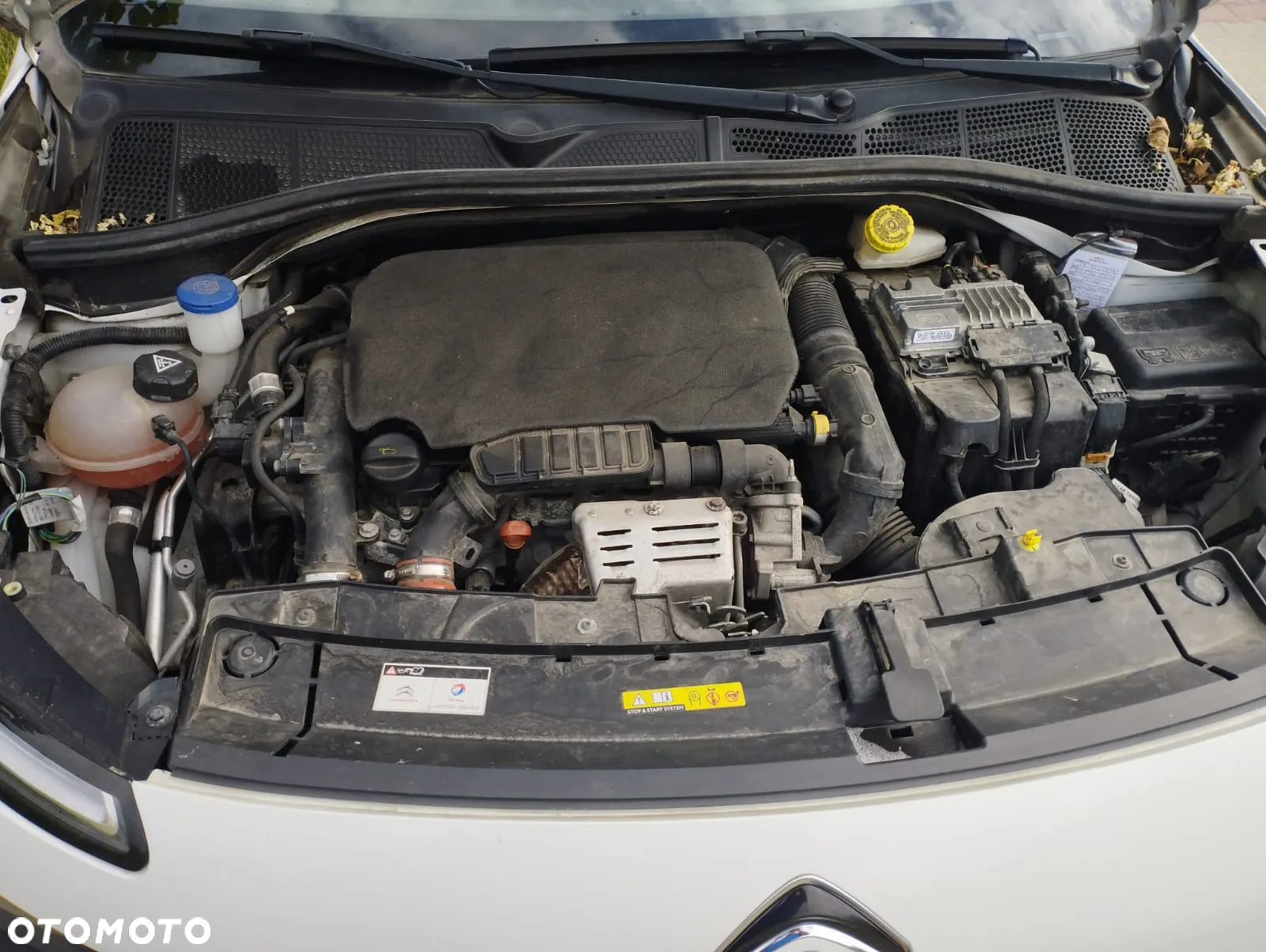 Citroën C4 Cactus 1.2 PureTech Shine S&S - 5