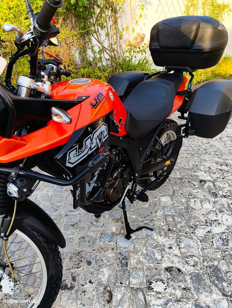 UM Dsr Adventure Adventure TT - 23
