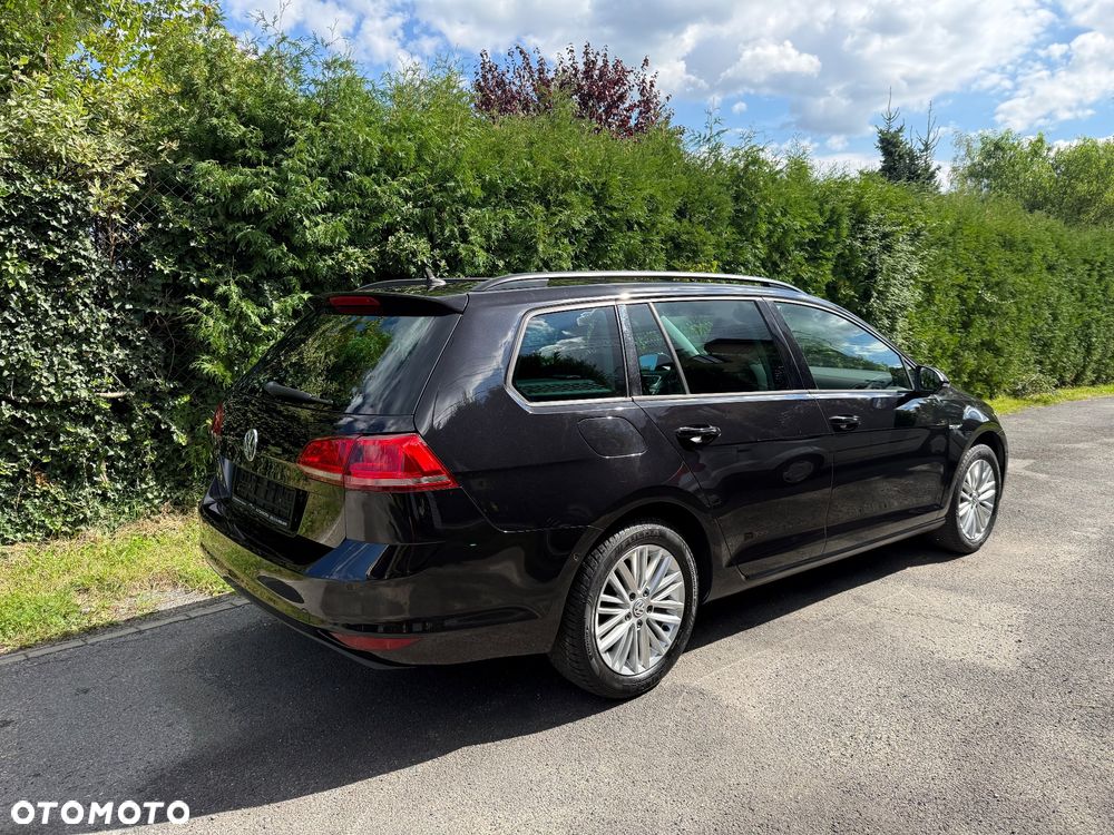 Volkswagen Golf 1.6 TDI BlueMotion Technology Cup - 10