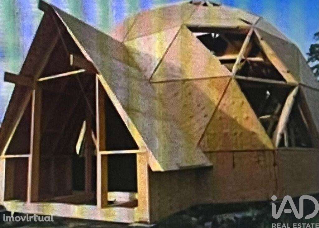 Terreno Agrícola em Barão de São Miguel - Grande imagem: 5/17