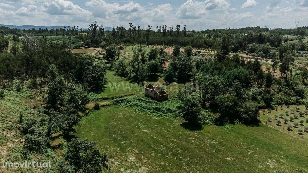 Quinta / Seia, Santiago - Grande imagem: 2/12